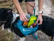 trail quest dog backback teal - - - 2