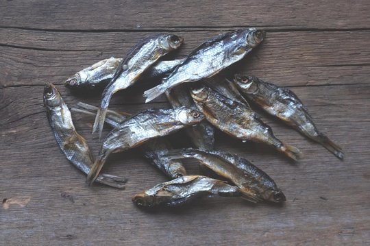 Kotimainen Eväkäs kuivattu särkikala - Kissan makupalat ja herkut - 004475 - 1