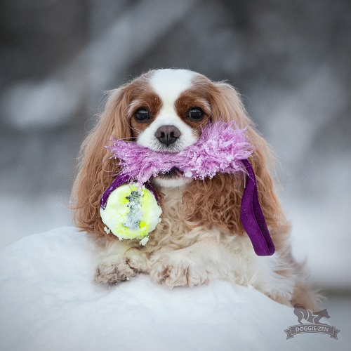 Pocket Fake Fur Tug with KONG Air Squeaker Ball - Saalis- ja vetolelut - 42355 - 1