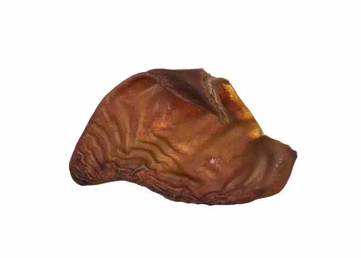 RAUH! Kotimainen possunkorva - Kuivatut lihaherkut - 101175 - 1