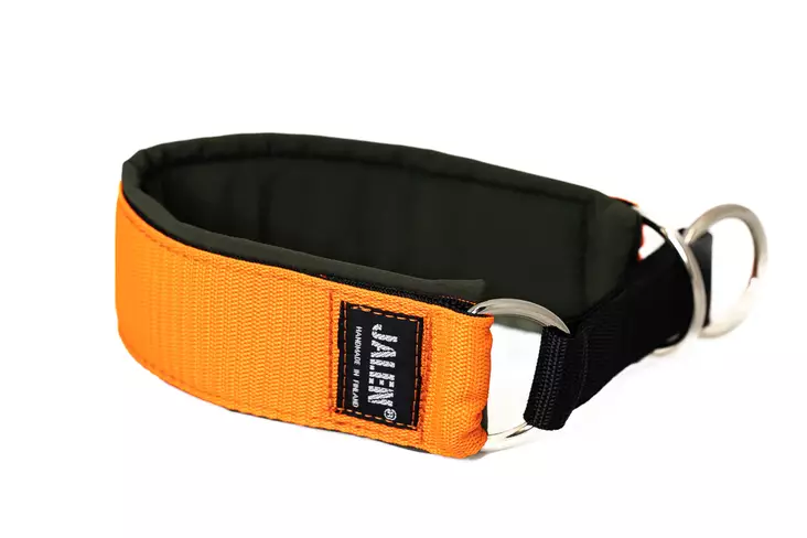 Jalen puolikiristävä kaulapanta 50 mm, oranssi - Puolikiristävät pannat - 27625 - 1
