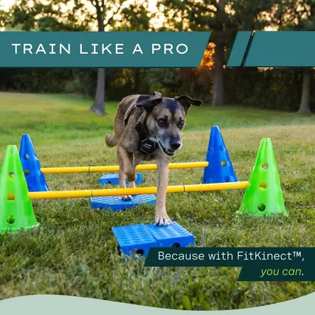 Fitpaws FitKinect Core jumppatarvikesetti - Jumppa- ja tasapainovälineet - 20476 - 2