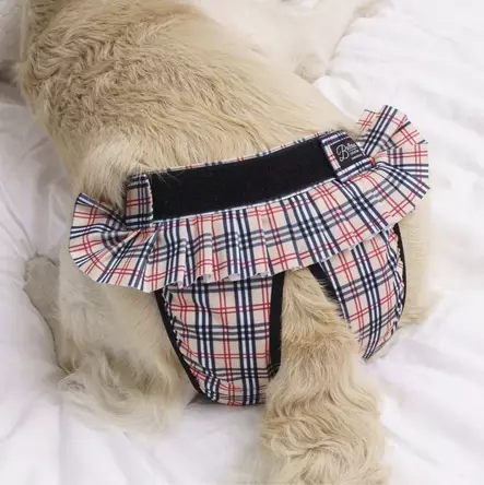 Ballerina narttusuoja Chic - Juoksuhousut ja urossuojat - 28856 - 2