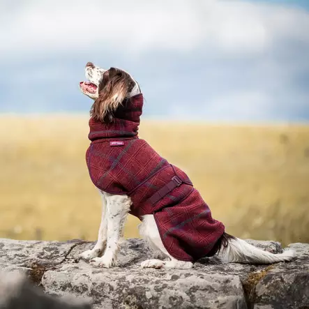 WooliePomppa koiran villatakki, maroon - Takit ja manttelit - 80346 - 1