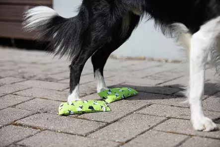 Kaukokäsky hernepussit 2 kpl - Toko - 003806 - 2