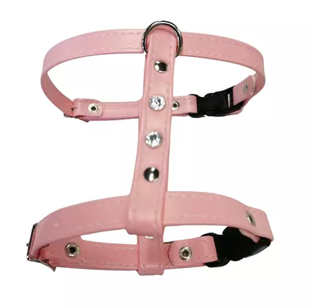 Nahka-nasta kissanvaljaat - Kissan valjaat - 27606 - 2