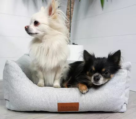 koiran reunapeti - Memory foam-pedit - 41566 - 2