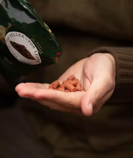 Motivation Delights - koulutusherkku 500 g - Makupalat ja herkut - 40086 - 2