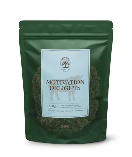 Motivation Delights - koulutusherkku 500 g - Makupalat ja herkut - 40086 - 1
