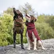 WooliePomppa koiran villatakki, maroon - Takit ja manttelit - 80346 - 8