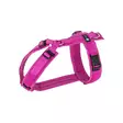 Anny-X FUN säädettävät Y-valjaat, fuksia - Koiran valjaat - 80056 - 1