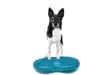 fitpaws koiran tasapainotyyny - Jumppa- ja tasapainovälineet - 43796 - 2