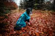 Fjord Raincoat 2.0 koiran sadetakki, teal - Takit ja manttelit - 43546 - 4