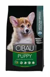 Puppy Medium Breed Chicken & Rice - Cibau - 9506 - 1