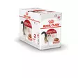 Royal Canin Instinctive Gravy - Royal Canin - 200386 - 1