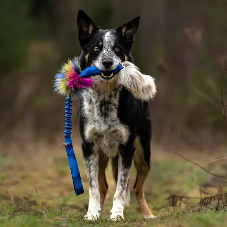 Bungee Squeaker Sheepskin Tug - Aitoa karvaa sisältävät lelut - 42356 - 1