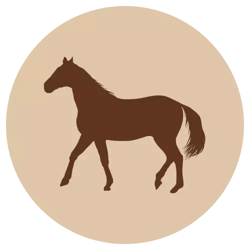 F-A Hevosen rasva 200g - Hevonen - 50266 - 1