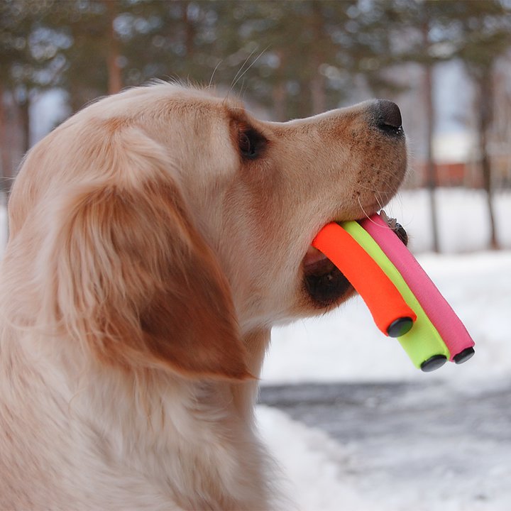 Irtorulla henkilöhaun harrastamiseen - Palveluskoiralajit - 40066 - 1