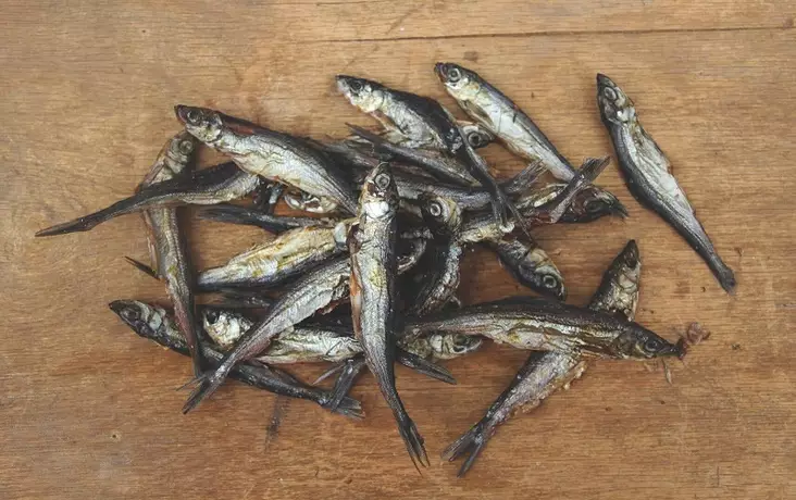 Kuivattu kotimainen muikku koirille ja kissoille - Kissan makupalat ja herkut - 003706 - 1