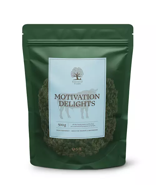 Motivation Delights - koulutusherkku 500 g - Makupalat ja herkut - 40086 - 1