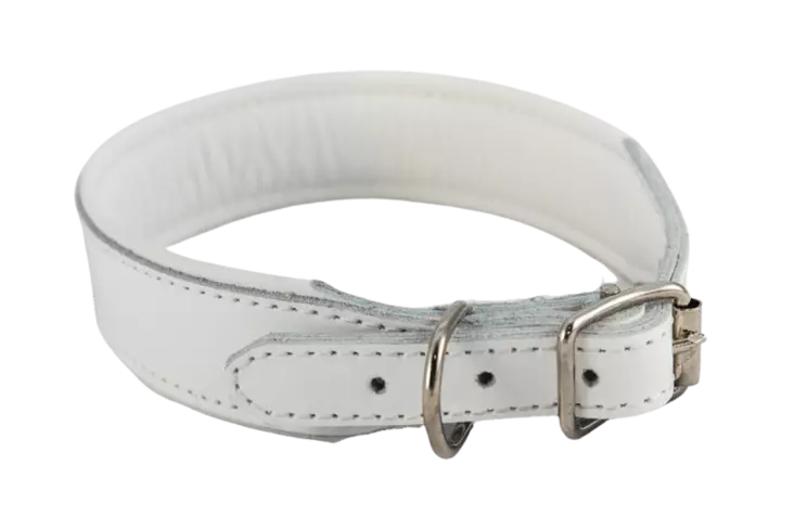 Nahkainen solkipanta 35 mm levenevä, valkoinen - Nahkapannat - 23336 - 1