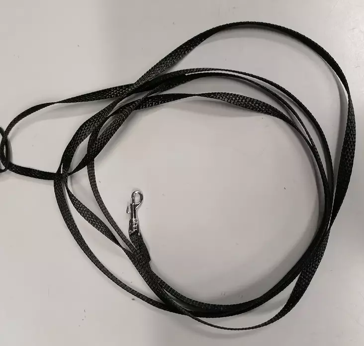 Pitk=C3=A4 talutin noseworkiin - Nosework - 004656 - 1