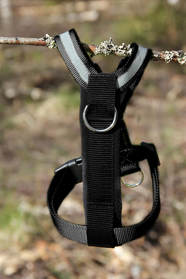 Salon säädettävä nylonvaljas, musta - Koiran valjaat ja reput - 0002156 - 1