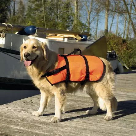 Koiran pelastusliivit Beeztees, oranssi - Pelastusliivit - 26437 - 1