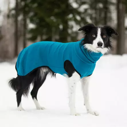 Merinovillapaita, petrooli - Neuleet ja pusakat - 004227 - 1