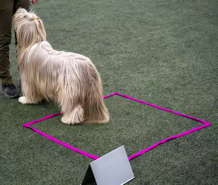 Rally-tokon suoristusalue 1 x 1 m - Toko - 20517 - 2