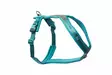 line harness teal petrooli - Koiran valjaat - 41507 - 1