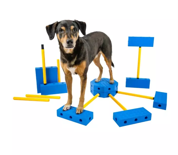 Fitpaws FitKinect Core jumppasetti - Jumppa- ja tasapainovälineet - 20477 - 1