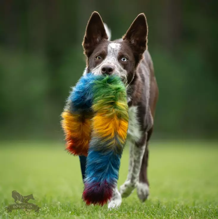 Bonanza keinokarvainen vetolelu joustavalla kahvalla - Saalis- ja vetolelut - 29227 - 1