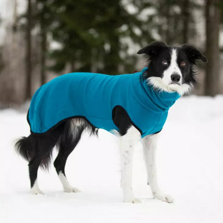 Merinovillapaita, petrooli - Neuleet ja pusakat - 004227 - 1