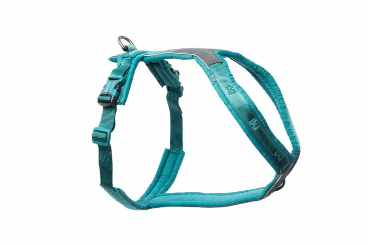 line harness teal petrooli - Koiran valjaat - 41507 - 1