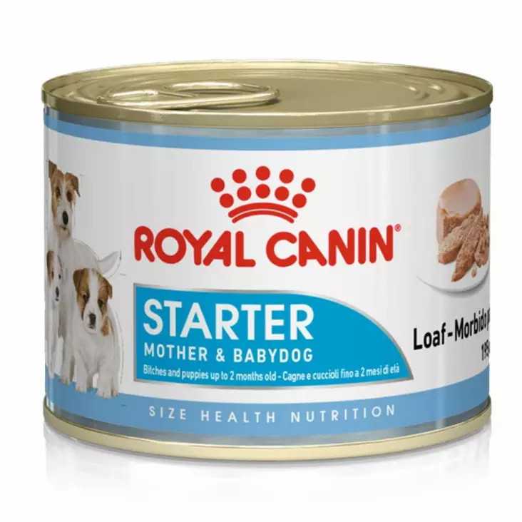 Royal Canin starter mousse - Koiran märkäruoat ja makkarat - 101547 - 1