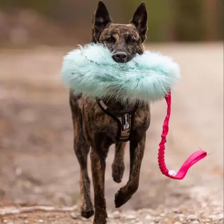 Crinkle-n-Cracke Tug täytettävä vetolelu joustokahvalla - Saalis- ja vetolelut - 29228 - 1