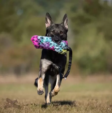 Crinkle-n-Cracke Tug täytettävä vetolelu joustokahvalla - Saalis- ja vetolelut - 29228 - 2