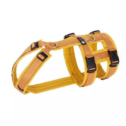 Anny-x Safety valjaat XS, keltainen - Koiran valjaat - 20618 - 1
