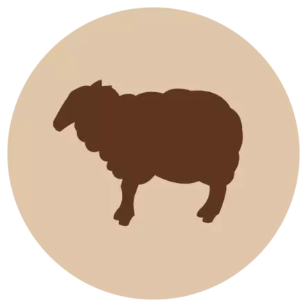 F-A Lampaan jauheliha 500 g - Lammas - 40348 - 1