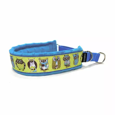 Pehmustettu puolikiristävä panta, Pöllö turkoosilla vuorella - Puolikiristävät pannat - 004828 - 1