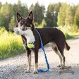 Bungee Chaser Tug Kong Air lampaankarvalla - Aitoa karvaa sisältävät lelut - 20578 - 1