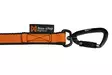 Bungee Leash Double - kahden koiran vetonaru - Veto- ja valjakkourheilu - 6818 - 3