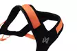 Non-Stop Dogwear Rush-valjas, Oranssi-musta - Veto- ja valjakkourheilu - 42718 - 8