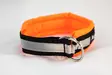 Pehmustettu puolikiristävä heijastinkaulapanta, oranssi - Puolikiristävät pannat - 23788 - 2