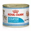 Royal Canin Starter Mousse - Koiran märkäruoat ja makkarat - 101547 - 1