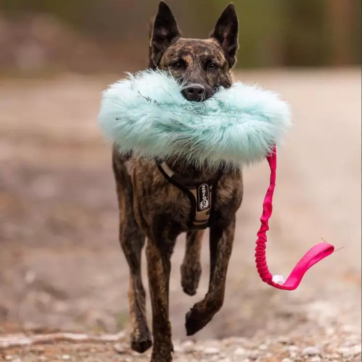 Crinkle-n-Cracke Tug täytettävä vetolelu joustokahvalla - Saalis- ja vetolelut - 29228 - 1