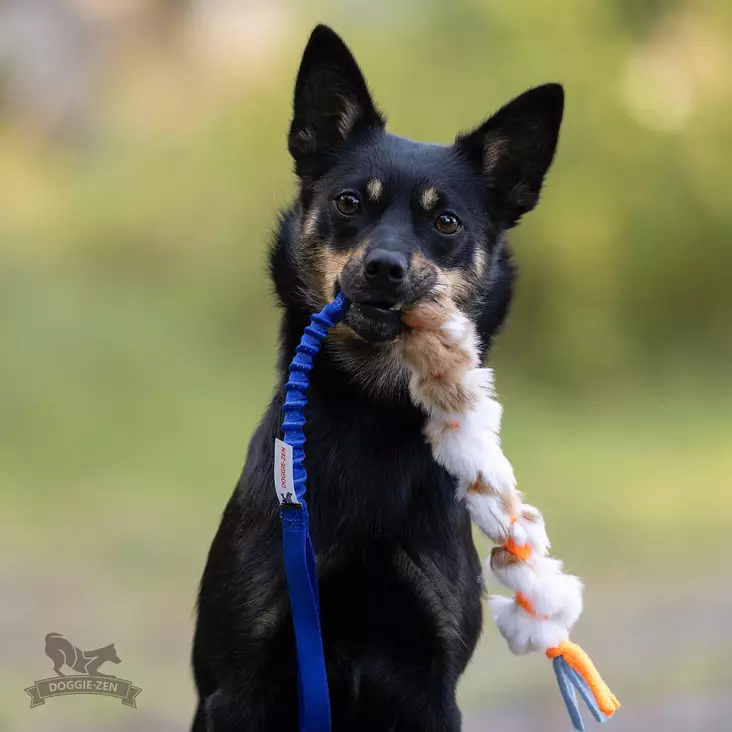 doggie-zen kaninkarvavetolelu - Saalis- ja vetolelut - 44668 - 1