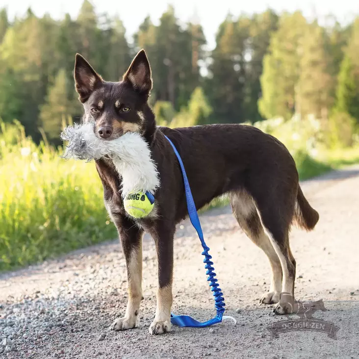 Bungee Chaser Tug Kong Air lampaankarvalla - Aitoa karvaa sisältävät lelut - 20578 - 1