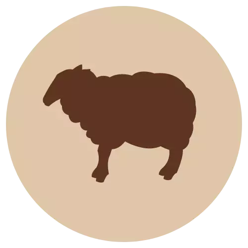 F-A Lampaan jauheliha 500 g - Lammas - 40348 - 1